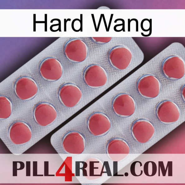 Hard Wang 19.jpg